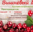 Фестиваль «Вишнёвый бум» - Абдулинский городской округ