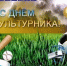 9 августа - День физкультурника - Абдулинский городской округ