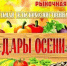 Добро пожаловать на ярмарку «Дары осени-2025»! - Абдулинский городской округ