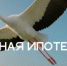 Самая выгодная семейная ипотека - Абдулинский городской округ